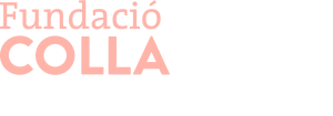 Fundació Colla Vella dels Xiquets de Valls